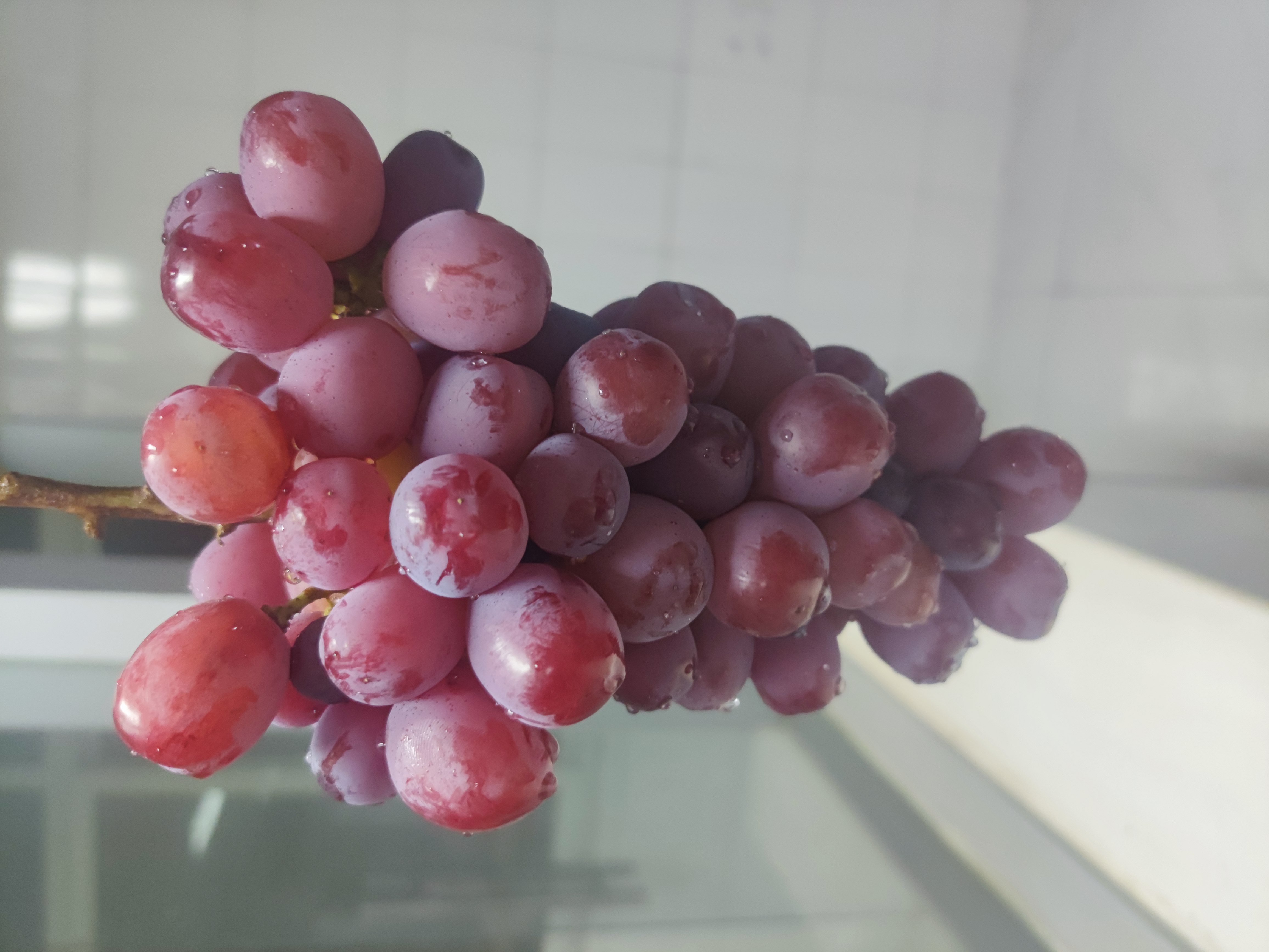 浪漫红颜-[grape]